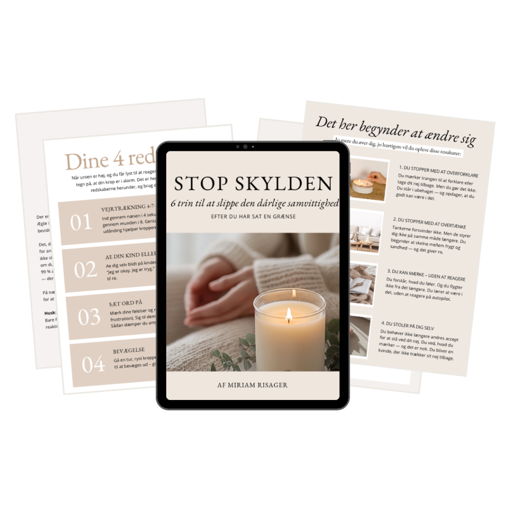 Skyldguiden 2
