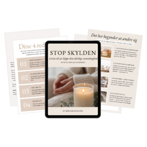 Skyldguiden 2