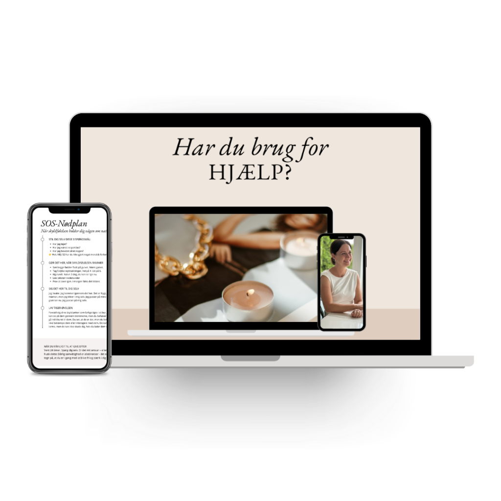 Skyldguiden 4 Skyldguiden bonus
